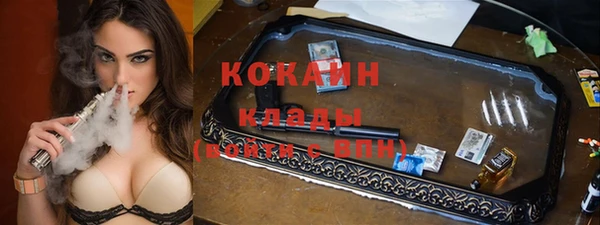 мдпв Осинники