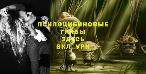 мдпв Осинники