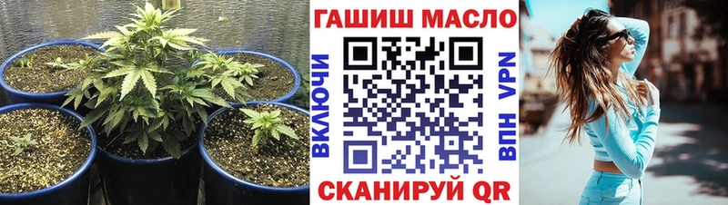 mega ONION Сертолово Дистиллят ТГК THC oil наркошоп